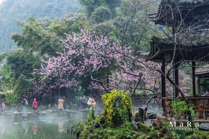 蓝色怪物救援